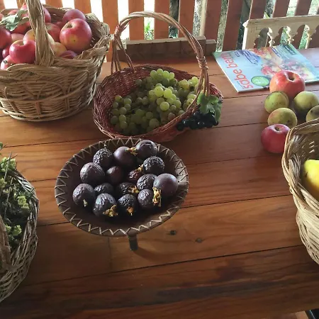 Ferienhaus Akivillas Santarem Dainty