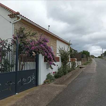 Akivillas Santarem Dainty *