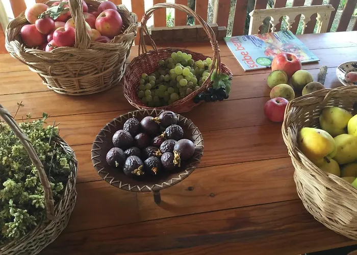 Vakantiehuis Akivillas Santarem Dainty