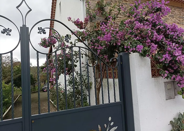 Akivillas Santarém Dainty * Ferreira do Zêzere